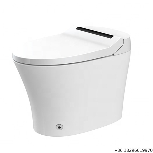 Home Bathroom Ware - Asiento de inodoro inteligente con bidé
