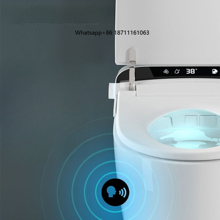 Home Bathroom Ware - Inodoro Inteligente de Alta Calidad con