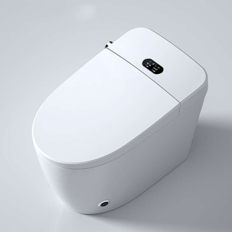 Inodoro Inteligente Moderno co - Home Bathroom Ware reseña y precio