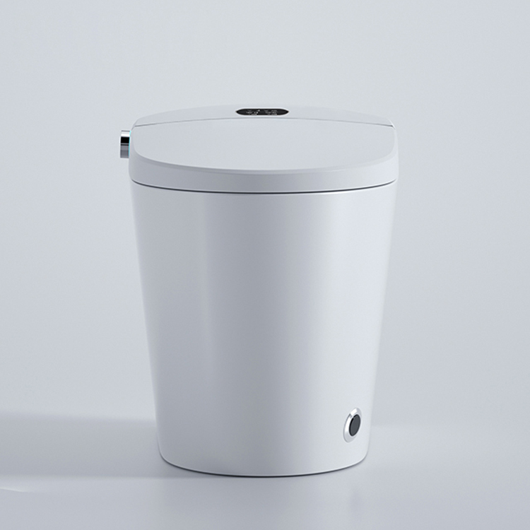 Inodoro Inteligente Moderno co - Home Bathroom Ware reseña y precio