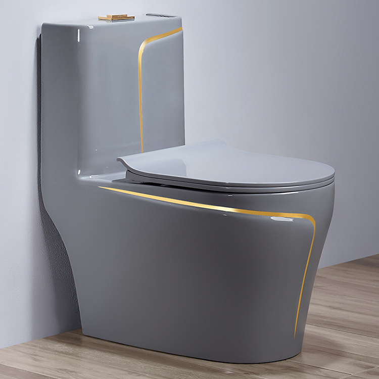 Inodoro de Cerámica Gris de Un - Home Bathroom Ware reseña y precio