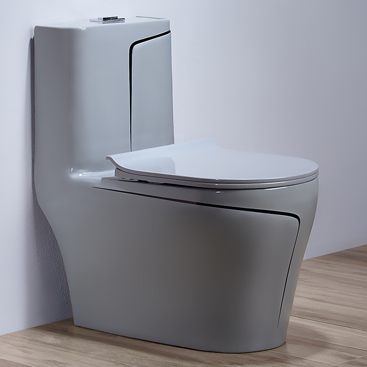 Inodoro de Cerámica Gris de Un - Home Bathroom Ware reseña y precio