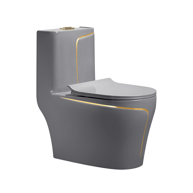 Inodoro de Cerámica Gris de Un - Home Bathroom Ware reseña y precio