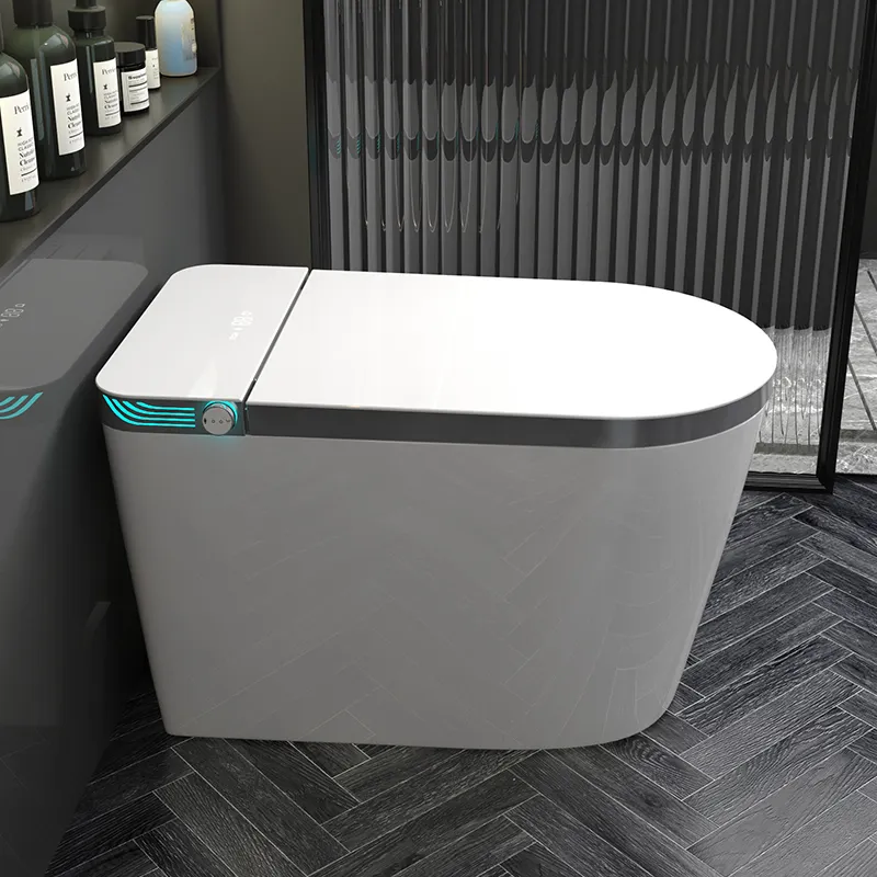 Inodoro Inteligente de Una Pie - Home Bathroom Ware reseña y precio