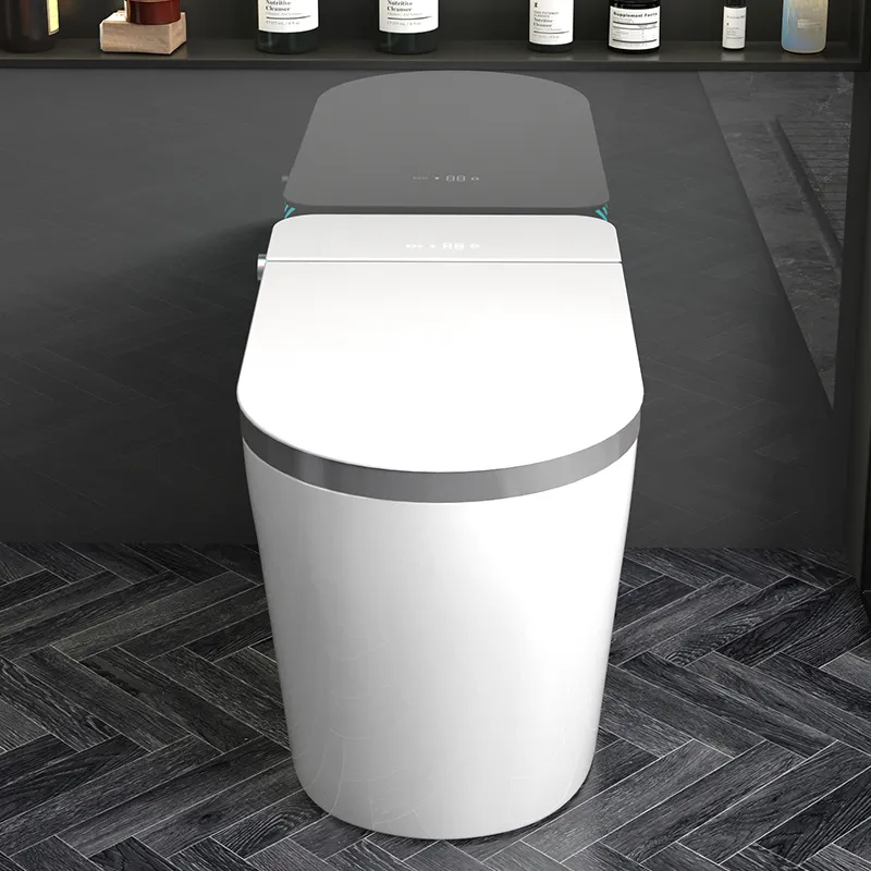 Inodoro Inteligente de Una Pie - Home Bathroom Ware reseña y precio