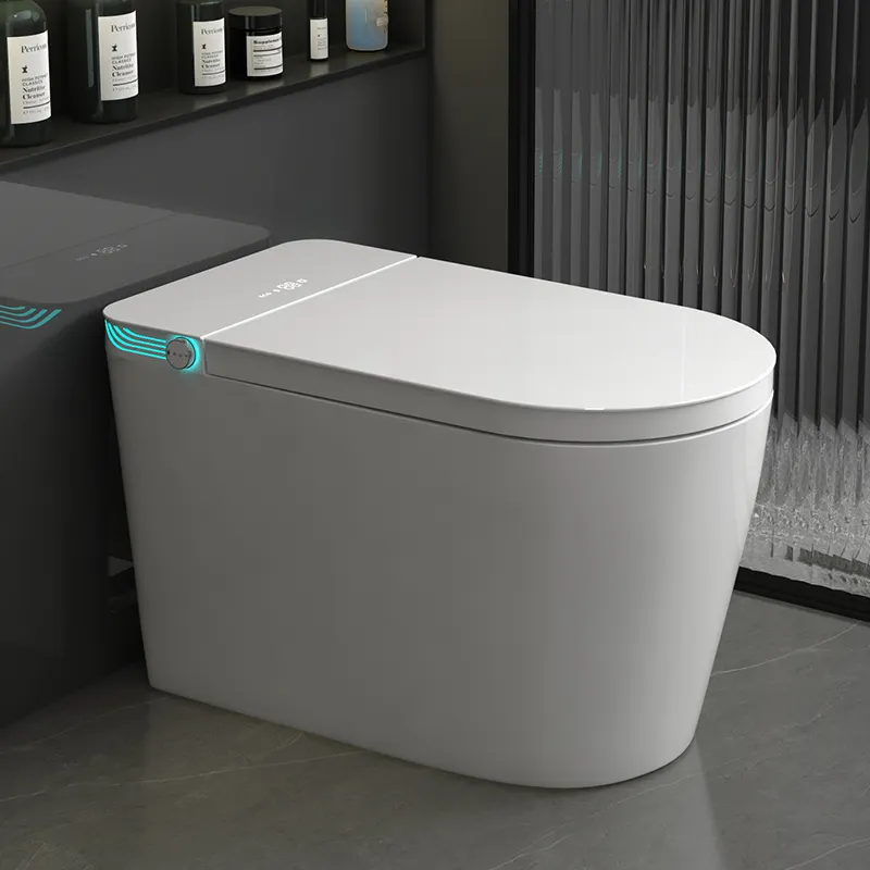 Inodoro Inteligente de Una Pie - Home Bathroom Ware reseña y precio
