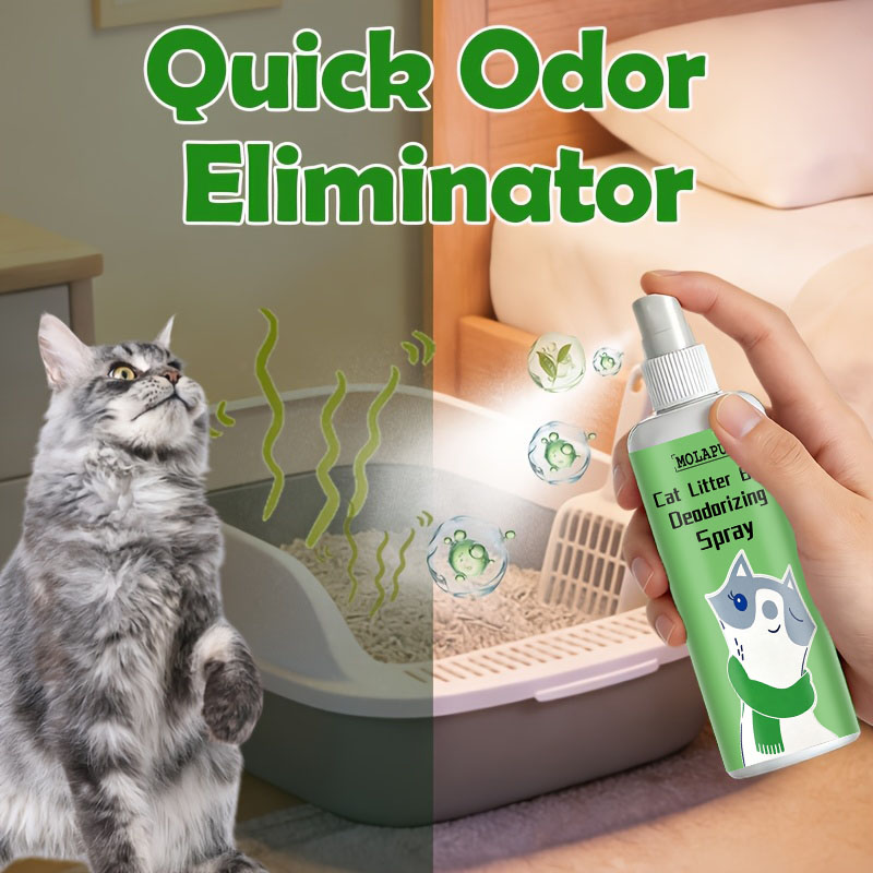 Spray Desodorante para Arena d - Home Bathroom With Urinal reseña y precio