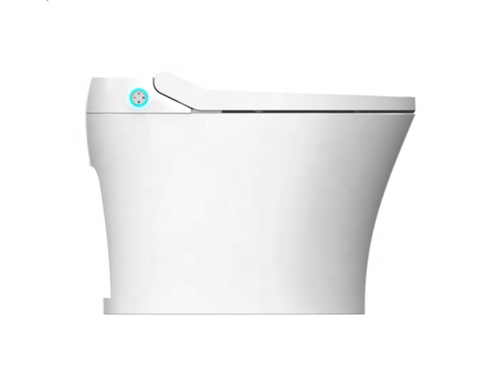 Asiento de inodoro inteligente - Home Bathroom Ware reseña y precio