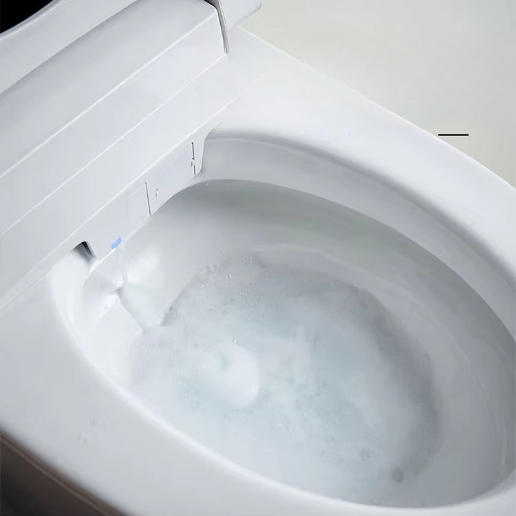 Inodoro Inteligente de Alta Ca - Home Bathroom Ware reseña y precio