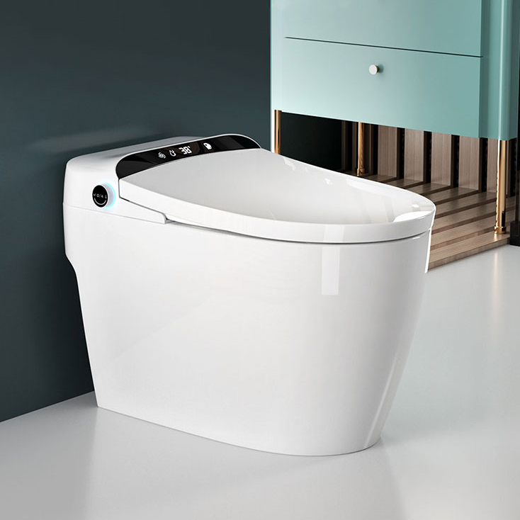 Inodoro Inteligente de Alta Ca - Home Bathroom Ware reseña y precio