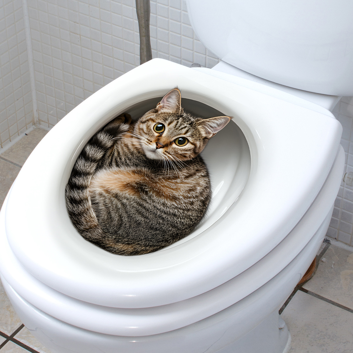 Pegatina 3D divertida para ino - Tiny Home Bathroom Kit reseña y precio
