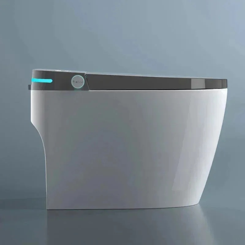 Inodoro Inteligente de Cerámic - Home Bathroom Ware reseña y precio