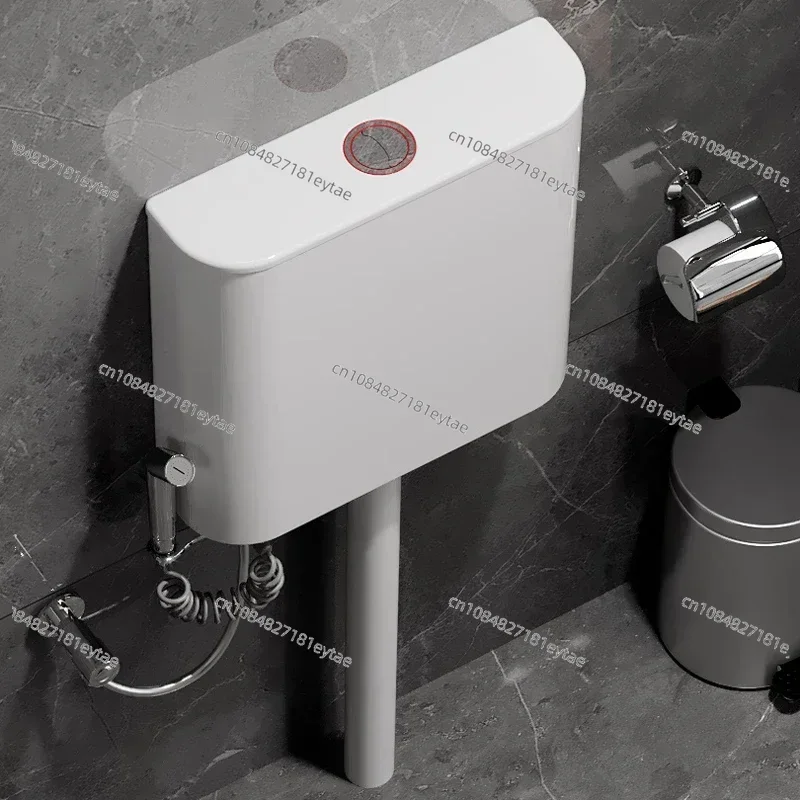 Inodoro en cuclillas, tanque d - Home Bathroom With Urinal reseña y precio